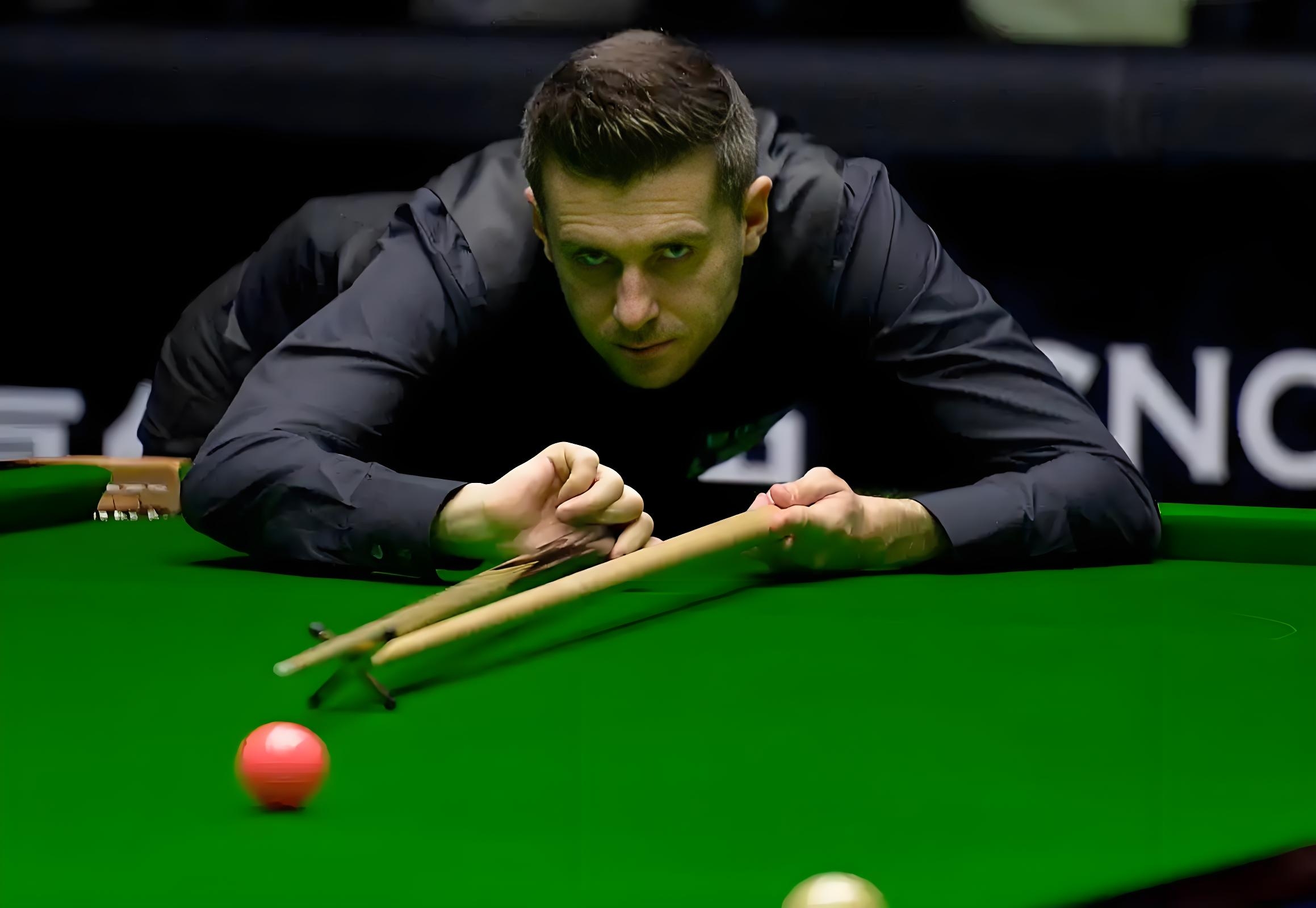 了新的高度 了新的高度