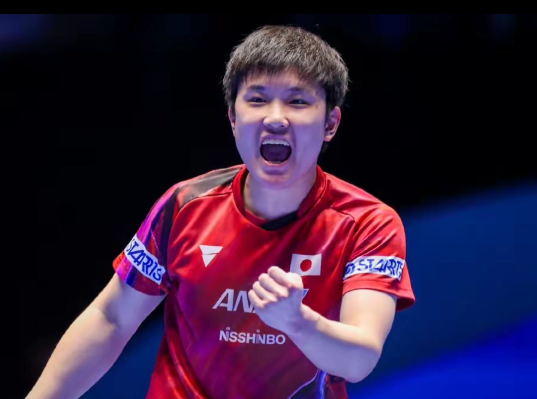 羽毛球等 羽毛球等